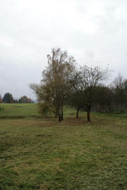 Вілла Agroturystyka U Maciejowej Ланцкорона Екстер'єр фото
